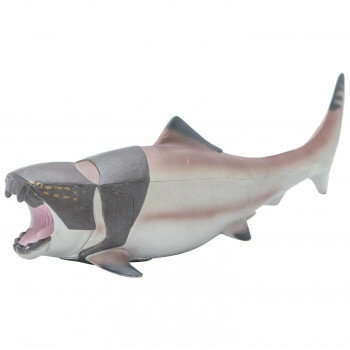 FP-304 ダンクレオステウス ビニール