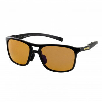 山本光学 SWANS サングラス Radiant Sol ブラック RAD SOL-0165 BK