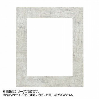 アルナ 樹脂フレーム デッサン額 APS-05 ホワイト B-5 57181