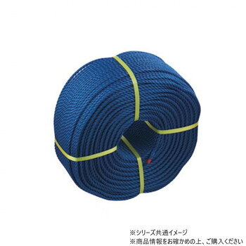 三和体育製販 グラウンドロープ6mm×200m ロープのみ 青 S-2879