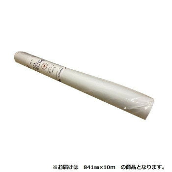 オストリッチダイヤ 1ミリ方眼紙ロールセクション 841mm×10m 1本 81