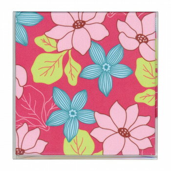 メガネ拭き ザヴィーナミニマックス MX300 SILKINA 1 18622