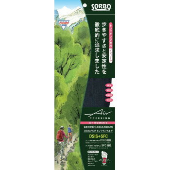 DSIS　ソルボトレッキングエア　ウィメンズ　ダークグレー　61872・2S