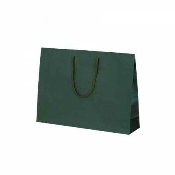 カラークラフト手提袋 T-Y グリーン 1042 10枚