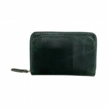 ASHFORD アシュフォード ヒメル コインパス グリーン 8783-055(4)