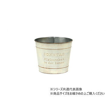 大橋新治商店 ゾンターク ホワイトD4 31-014