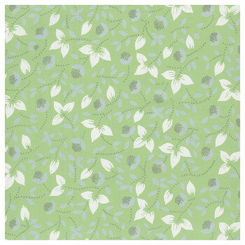 桡եͥ꡼󡡻ϻȽ 100 XZK00079