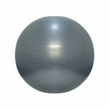 高田ベッド製作所 バランスボール(75) 直径75cm TB-1295-03