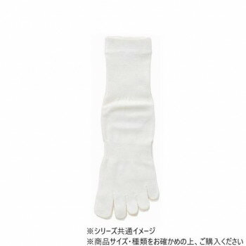 神戸生絲 婦人シルクハイゲージ5本指ソックス 22-24cm SY303 オフホワイト