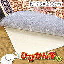 ラグ カーペット 絨毯 敷物 防音 滑り止め 下敷き 3畳 傷防止 国産 抗菌 カット 畳 床 日本製 薄い 畳の上 シート ホットカーペット対応 床暖房 長方...