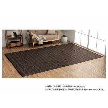 日本製 洗えるい草調カーペット ブラウン 団地間2畳 約170×170cm 1090031060202(3)
