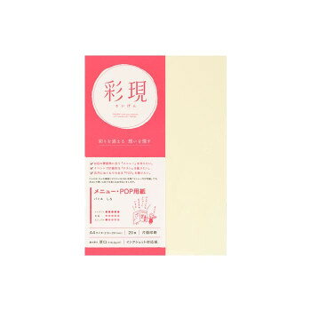 彩現 メニュー・POP用紙 パミス 白 A4サイズ 20枚 1742070