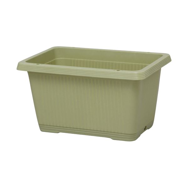 プランターベジタブルグリーン