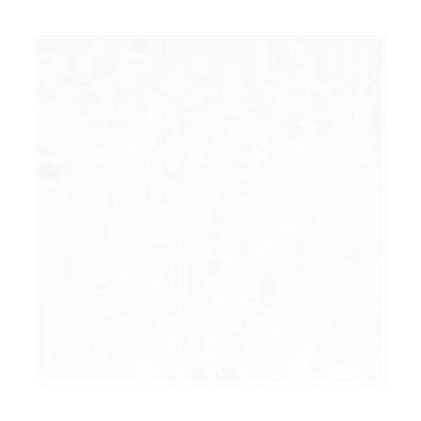 やよいカラー 4ツ切100枚 しろ