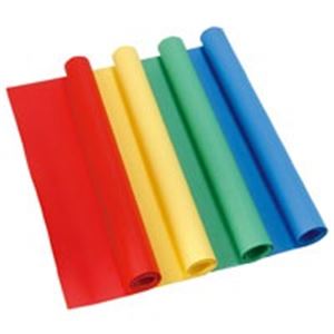 （まとめ）リュウグウ ラシャ紙 全判 GOS-SO418 黒10枚【×2セット】