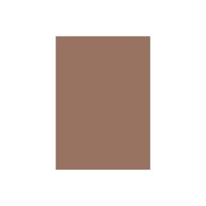 (業務用10セット)大王製紙 再生色画用紙/工作用紙 【四つ切り 10枚】 くり