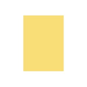 (業務用2セット) 北越製紙 カラーペーパー/リサイクルコピー用紙 【B5 500枚×5冊】 日本製 イエロー(黄)(2)