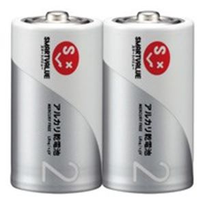 ジョインテックス アルカリ乾電池 単2×100本 N122J-2P-50