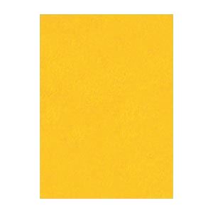 （まとめ） 文運堂 ニューカラーR 四ツ切 横392×縦542mm 4NCR-237 みかん 100枚入 【×2セット】