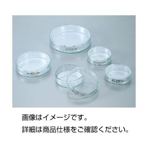 (まとめ)シャーレ(ペトリ皿)90A ガラス製 85.5φ×20mm 【×10セット】 (まとめ)シャーレ(ペトリ皿)90A ガラス製 85.5φ×20mm 【×10セット】