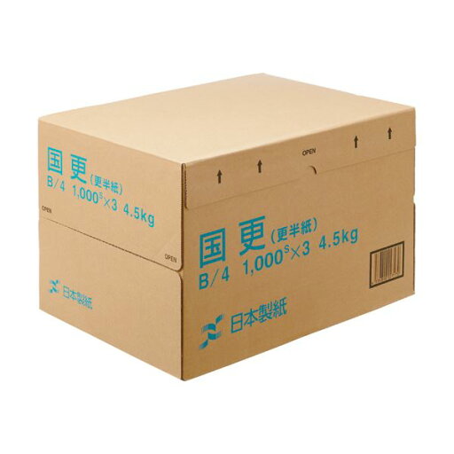 (まとめ) 日本製紙 国更(更紙・わら半紙)B4T目 48.4g/m2 KNZN-B4 1箱(3000枚:1000枚×3冊) 【×5セット】 (まとめ) 日本製紙 国更(更紙・わら半紙)B4T目 48.4g/m2 KNZN-B4 1箱(3000枚:1000枚×3冊) 【×5セット】