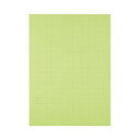 (まとめ) TANOSEE 模造紙(プルタイプ) 本体 788×1085mm 50mm方眼 ウグイス 1ケース(20枚) 【×10セット】