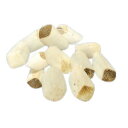 ピラルクのウロコ 【Mサイズ 約4cm 12個セット】ペルー アマゾン 直輸入 淡水魚 (CITES)取得後の正式輸入品