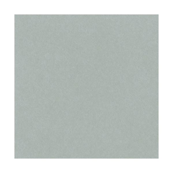 リンテック ニューカラーR 四つ切 はいいろ 4NCR-240 1パック(100枚)