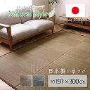 カーペット 4畳 夏 い草 ラグ 夏用 ペット 日本製 拭ける 国産 厚手 天然素材 防炎 裏貼り おしゃれ 絨毯 長方形 オールシーズン 和室 いぐさ 抗菌 ...