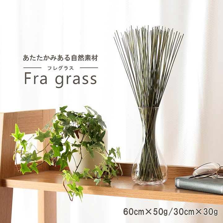 い草 消臭 消臭剤 芳香剤 部屋 アロマ 置物 飾り 香り 匂い 芳香剤 トイレ 寝室 リビング 和 国産 強力 おしゃれ 玄関 インテリア いぐさ タバコ 日本製 臭い 臭い消し 臭い取り 和風 トイレ用 植物 和室 観葉植物 簡単 かわいい 室内 防臭 吸湿 コンパクト オブジェ