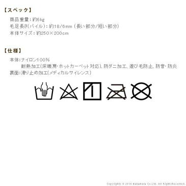 ラグ カーペット 3畳 おしゃれ 洗える 6畳 北欧 安い 夏 絨毯 滑り止め 厚手 年中 ラグマット 洗濯 防音 200×250 4畳 じゅうたん デザイン サイズ 8畳 4.5畳 西海岸 モダン センターラグ リビングラグ ホットカーペット対応 床暖房対応 床暖対応 マット 夏用