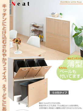 キッチンカウンター ゴミ箱 分別 2段 キッチン 目隠し 幅80 キッチンボード ダストボックス 収納 天板 おしゃれ ゴミ箱収納 大容量 台所 約 14l 25l