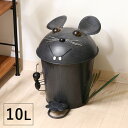 ゴミ箱 ごみ箱 ふた付き おしゃれ 10l ペダル 丸型 ダストボックス ごみばこ 10リットル 洗面所 小さい 臭わない 蓋付き 省スペース リビング コンパクト 10L かわいい スチール 中身 見えない 室内 スリム 一人暮らし 部屋 約 幅30 ミニ 小型 業務用 袋 見えない 開閉