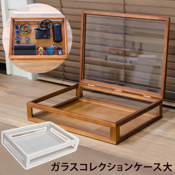 楽天市場】コレクションケース 木製 コレクションボックスの通販 楽天市場】コレクションケース 木製 コレクションボックスの通販