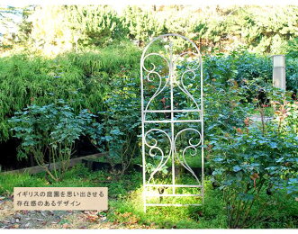 超安い つるバラ 園芸 屋外 アンティーク 朝顔 柵 オブジェ 境目 つるバラ アイアン 境目 枠 扉 アイアントレリス フェンス ラティス つる 目隠し ガーデニング 仕切り 朝顔 クラシカル 仕切り ガーデンフェンス トレリス Quoliフェンス 柵 アイアン バラ 朝顔 超安い つるバラ 園芸 屋外 アンティーク 朝顔 柵 オブジェ 境目 つるバラ アイアン 境目 枠 扉 アイアントレリス フェンス ラティス つる 目隠し ガーデニング 仕切り 朝顔 クラシカル 仕切り ガーデンフェンス トレリス Quoliフェンス 柵 アイアン バラ 朝顔