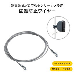 乾電池式どこでもセンサーカメラ用 盗難防止ワイヤー カメラ用ワイヤー 盗難防止ワイヤー セキュリティワイヤー ロック 防犯カメラ専用ワイヤー 盗難 防止 ワイヤー ステンレスワイヤー ガレージ 玄関 物置 コンパクト 安心