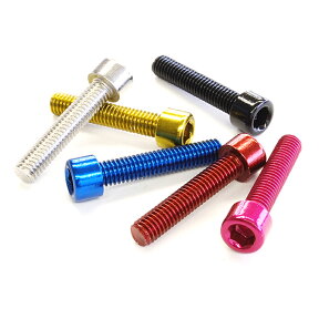 エフエフアール TL-105B-630 Stainless Color bolts （ステンレスカラーボルト） M6×30/1本 FF-R