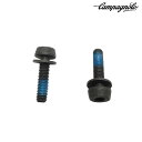 カンパニョーロ AC18-DBSC19 DB リアマウントボルト(for10-14mm) 19mm 2本 Campagnolo
