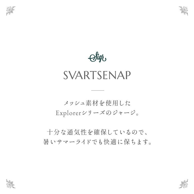 サンプル画像3