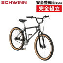 シュウィン 2021年モデル SX-1000 SCHWINN その1