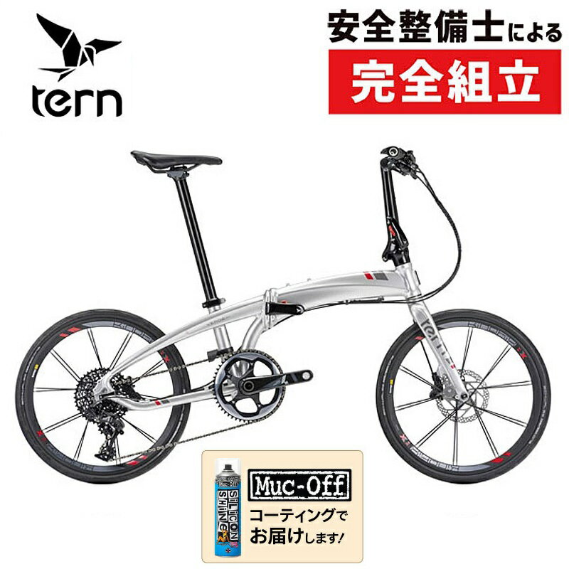  2024ǯǥ VERGE X11ʥX11 TERN