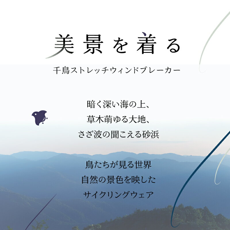 サンプル画像2