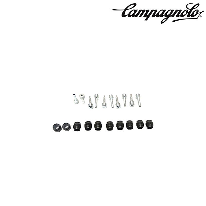 ѥ˥硼 EC-DB011 ꡼֡С 10 Campagnolo
