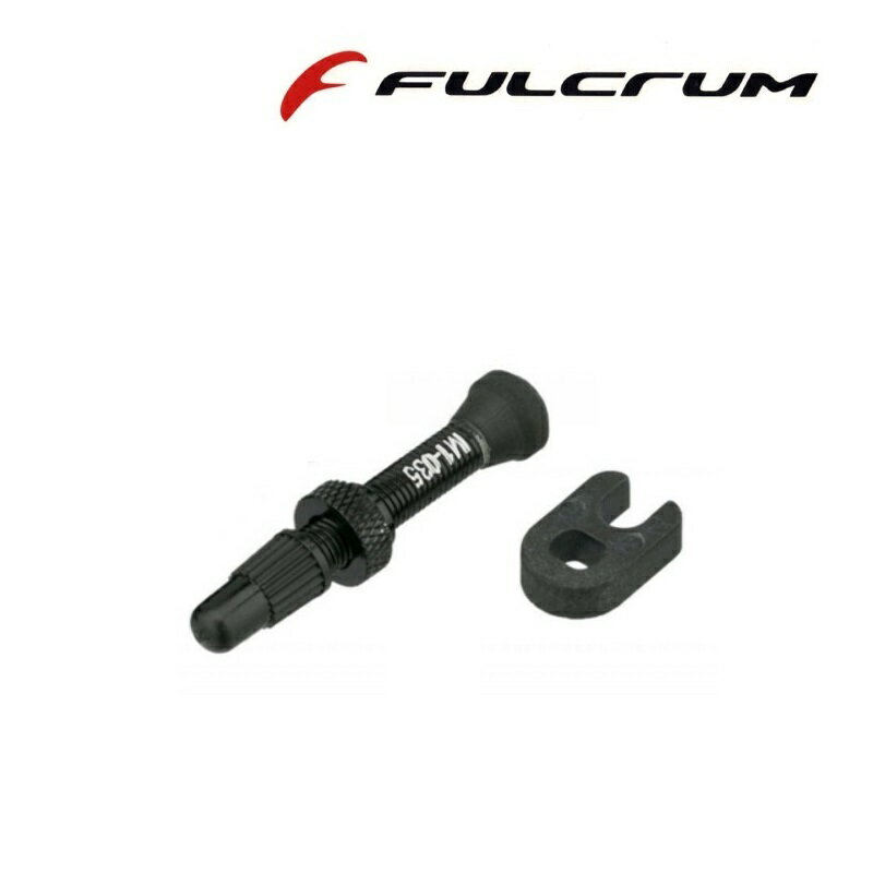 フルクラム RF1137249 M1-035 VALVES 2WF/35mm チューブレス/チューブレスレディ用バルブ FULCRUM