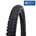 シュワルベ MAGIC MARY (マジックマリー)Super Downhill チューブレスタイヤ 27.5インチ 29インチ SCHWALBE 送料無料