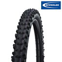 シュワルベ DIRTY DAN (ダーティダン)チューブレスタイヤ 27.5インチ 29インチ SCHWALBE 送料無料