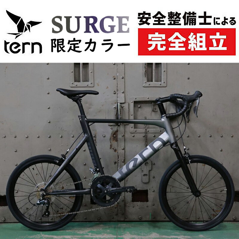 ターン 2024年モデル SURGE（サージュ）限定カラー フェージングメタル TERN