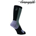 カンパニョーロ BECOME SPEED SOCKS (ビカムスピードソックス)MINT/LILAC Campagnolo