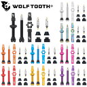 ウルフトゥース TUBELESS VALVE STEM KIT (チューブレスバルブステムキット)44mm Wolftooth