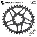 ウルフトゥース ELLIPTICAL DIRECT MOUNT CHAINRING FOR SRAM 8-BOLT 38T Wolftooth 送料無料